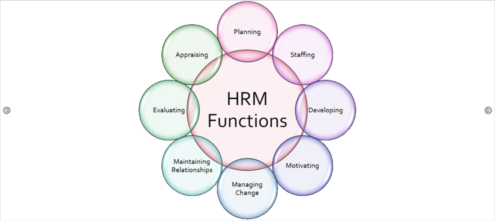 Hệ thống quản lý nhân sự tiền lương